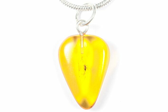 Polished Baltic Amber Pendant (Necklace) - Contains Fly! #357983